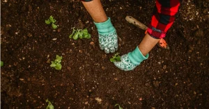 World Environment Day