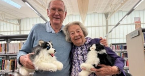 robotic pets