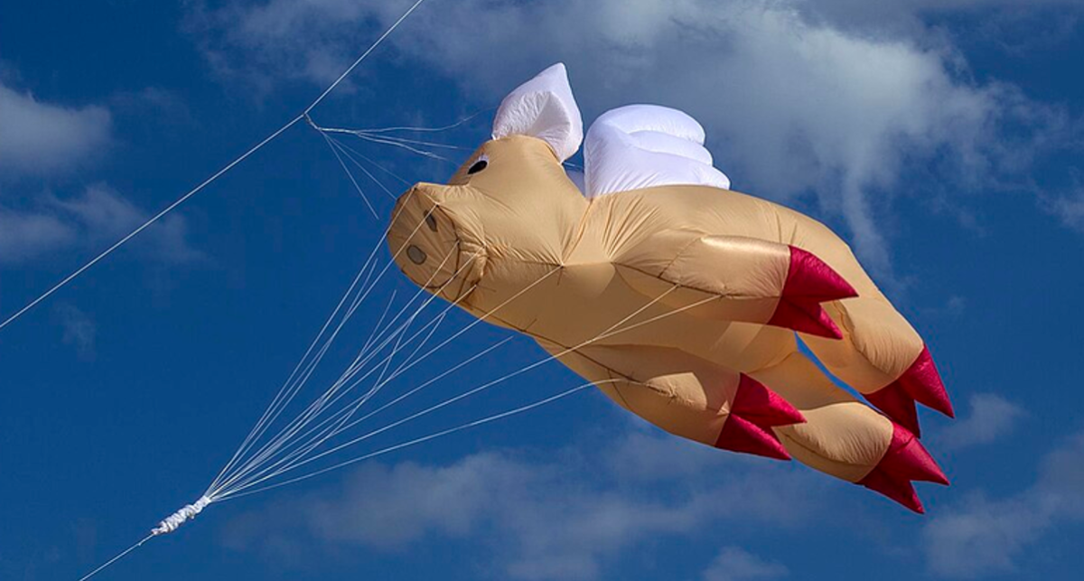 Redcliffe Kite festival in Clontarf