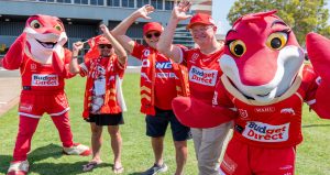 Dolphins preliminary finals